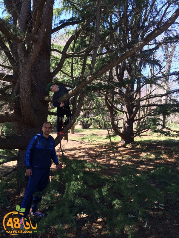 shamela newyoork (13).jpg